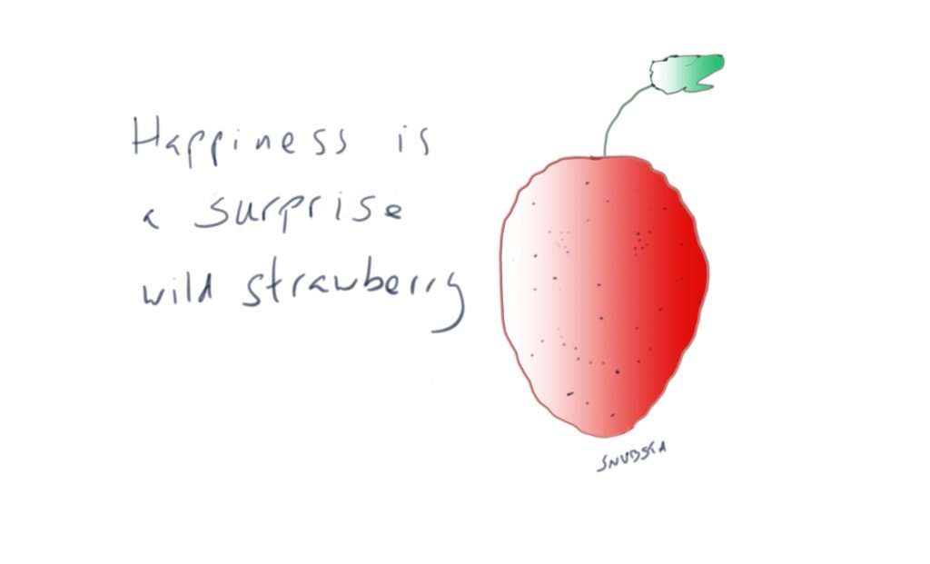 Surprise strawberry