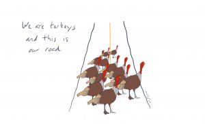 We are turkeys