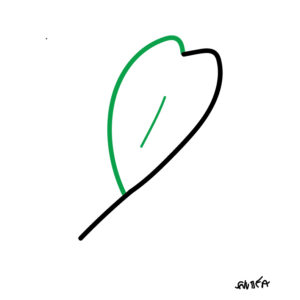 leaf cycle